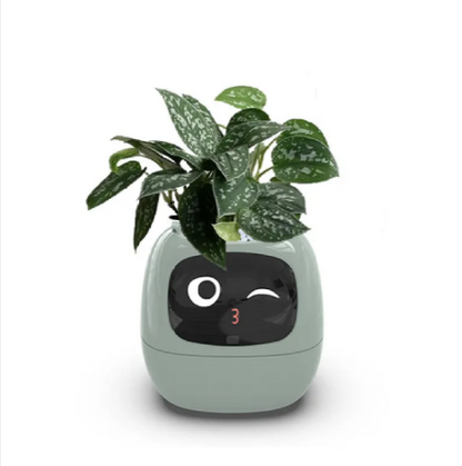 Smart AI Planter